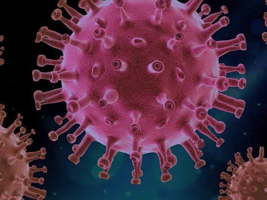 Названы четыре лучших способа борьбы с пандемией коронавируса
