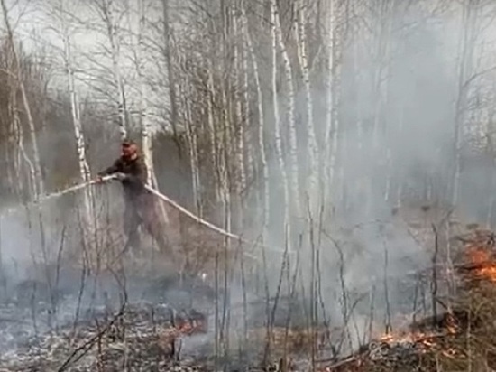Пожар в Озерском лесничестве локализован