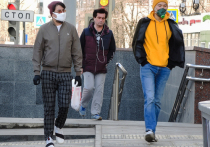 В женевской штаб-квартире Всемирной организации здравоохранения сообщили в субботу, что пока нет подтверждения того, что лица, переболевшие коронавирусом, приобретают иммунитет против повторного инфицирования