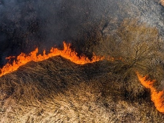 Природные пожары бушуют на Алтае