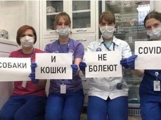 Жители Серпухова оказались гуманными и сведующими в вопросах ветеринарии гражданами