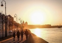 В управлении Роспотребнадзора по Санкт-Петербургу заявили, что носителями коронавируса в городе являются не только больные с установленным диагнозом, но и почти половина жителей