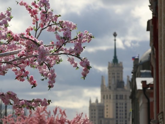 Москвичам посоветовали не ждать потепления к 1 мая