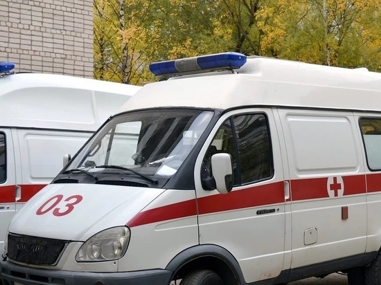 Псковские бригады «Скорой помощи» получат 41 планшет