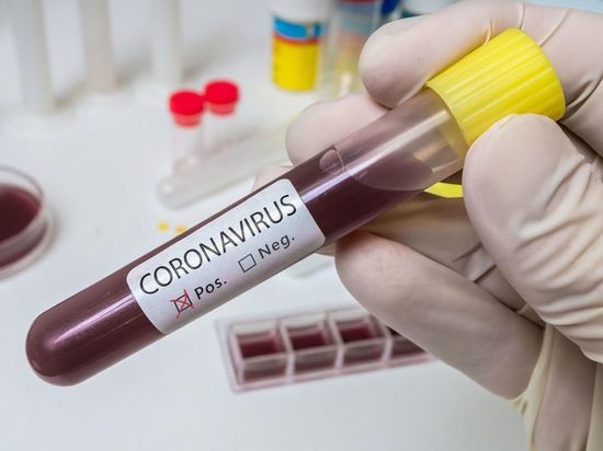 В Белгороде у девятерых жителей подтверждён Covid-19