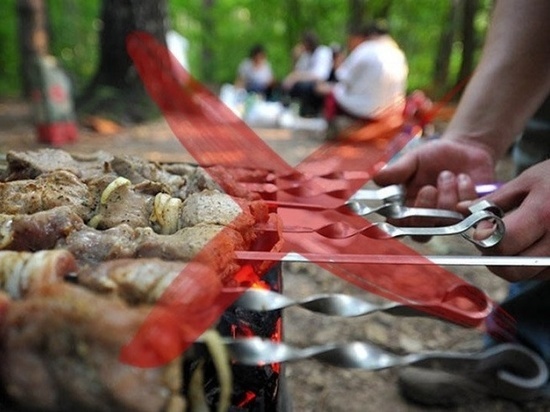 Тамбовчанам запретили покупку товаров для майских пикников