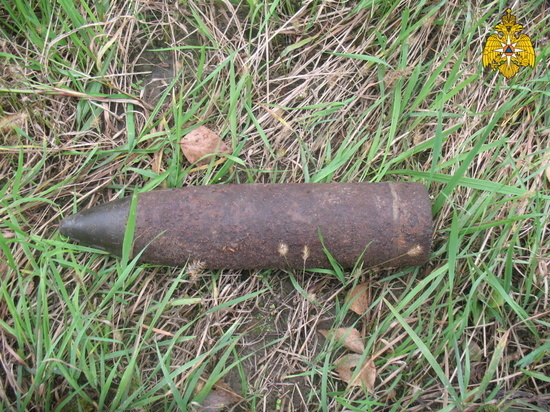 На Брянщине в округе города Новозыбков нашли артиллерийский снаряд