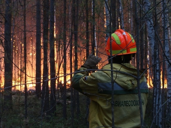 Новый пожар пришел в район Беклемишево из Бурятии