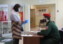 Более 60 медицинских одноразовых масок и дезинфицирующие средства передали для волонтеров серпуховские студенты медики