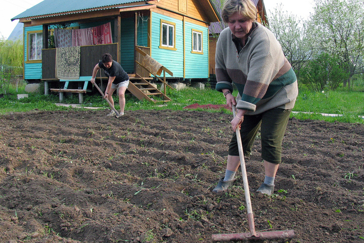 Огородно полевые работы картинки