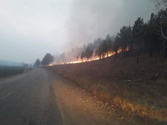 Гурулёв - о лесных пожарах в Забайкалье: Средств может не хватить