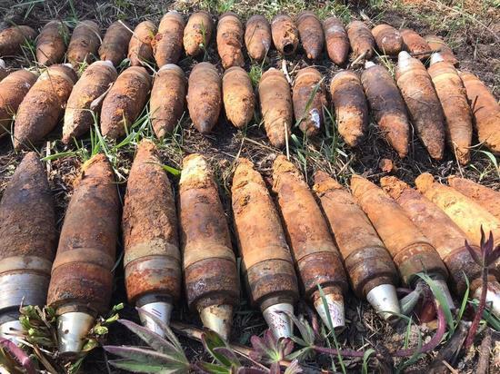 Целый "схрон" боеприпасов обезвредили смоленские спасатели