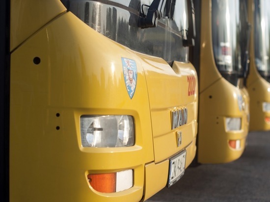 В Ижевске на линию выйдут дачные автобусные маршруты