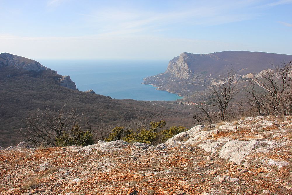 Восхитительный Крым: чудные крокусы и каменные спирали по пути из Ласпи в Ласпи