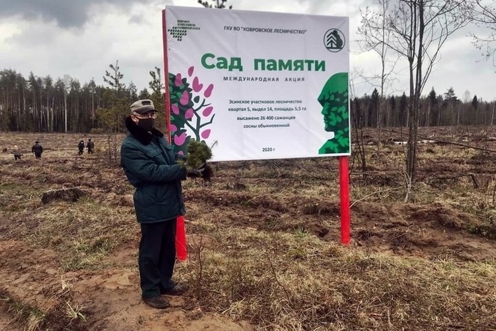 Картинка сад памяти международная акция