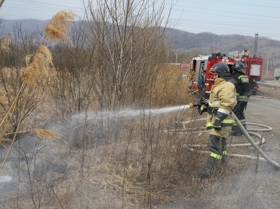 На территории хабаровского острова Большой Уссурийский создан временный пожарный пост