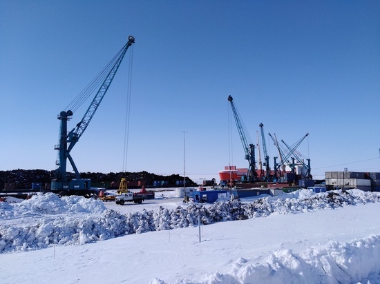 ПОРА: «Драйвером развития Арктики станет Северный морской путь»