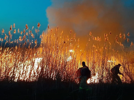 Сухая растительность горит на огромном участке в Азовском районе
