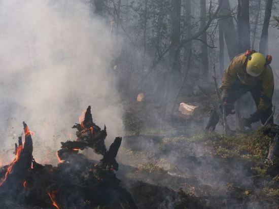 Более 35 тыс га леса горит в Забайкалье