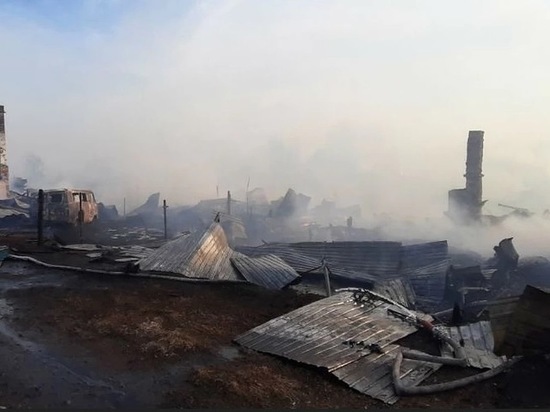 В Зиме сгорело восемь жилых домов