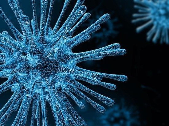 Еще пять больных коронавирусом выявили в Псковской области