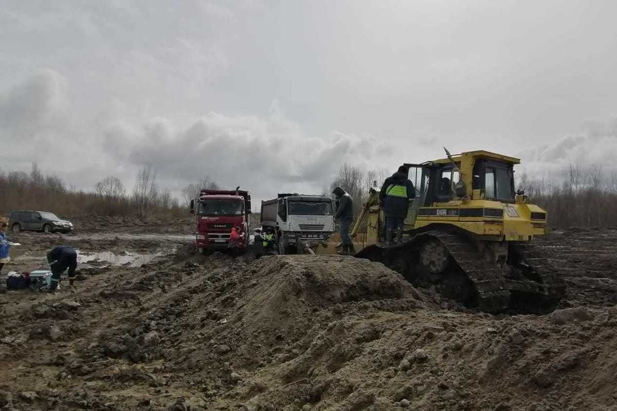 За порядком в праздники присмотрит дежурная экологическая служба - МК  Санкт-Петербург