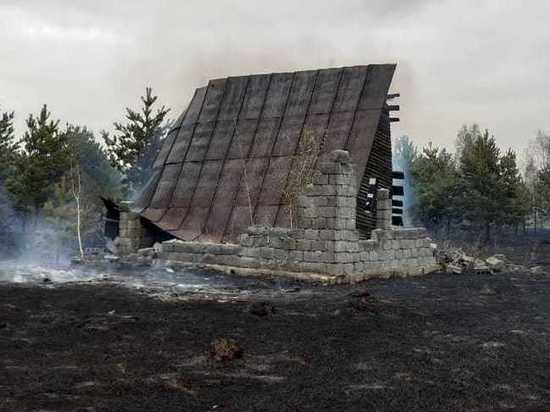 В НСО возбуждено первое уголовное дело из-за поджога травы