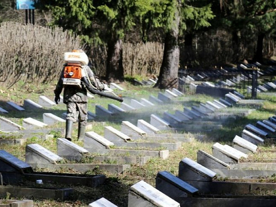 В Ижевске началась обработка от клещей