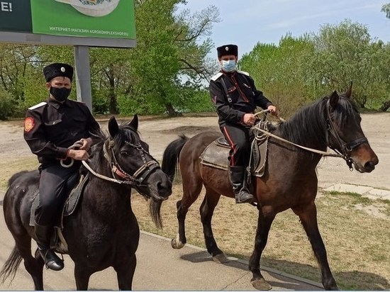 Краснодарская полиция отчиталась о количестве оштрафованных за день