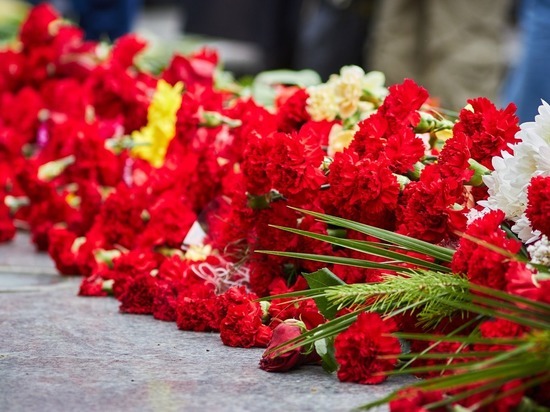 В Петербурге появится мемориал погибшим военным летчикам