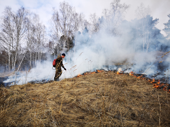 Два крупных лесных пожара потушили в районах Забайкалья