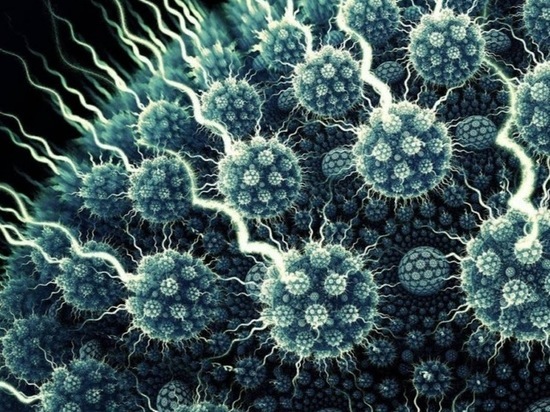 В Хакасии больные коронавирусом показали, в каких условиях их содержат в больнице