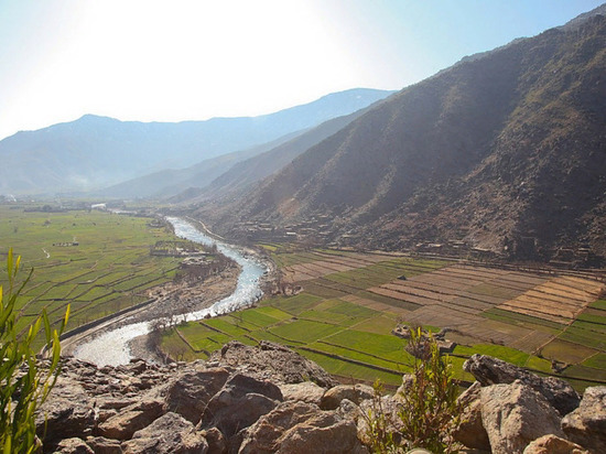 В Афганистане заявили о смерти мигрантов в Иране