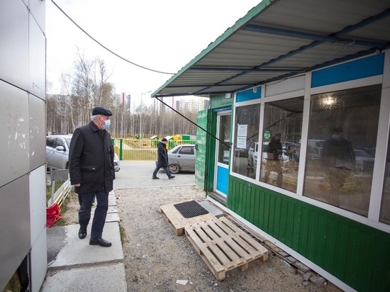 В Сургуте собак кусают крысы
