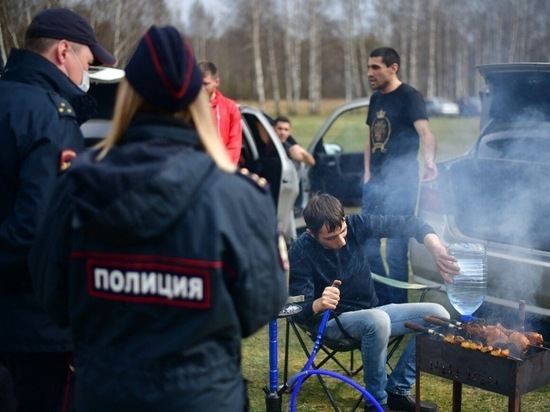 В Ярославле прошли рейды против шашлычников