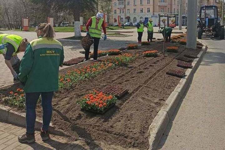 Правила городского благоустройства. Клумба Георгиевская лента. Городские клумбы Владимир. ИП цветков во Владимире по благоустройству. Кутузовский проспект цветник Георгиевская лента.