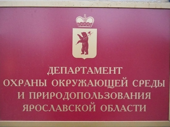 Департамент окружающей среды Ярославской области прокомментировал видео о нарушениях на полигоне "Скоково"