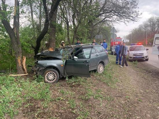 В Шахтах водитель «Лады» погиб, врезавшись в дерево