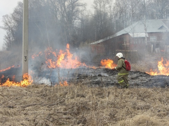 В Ивановской области оштрафован поджигатель сухой травы