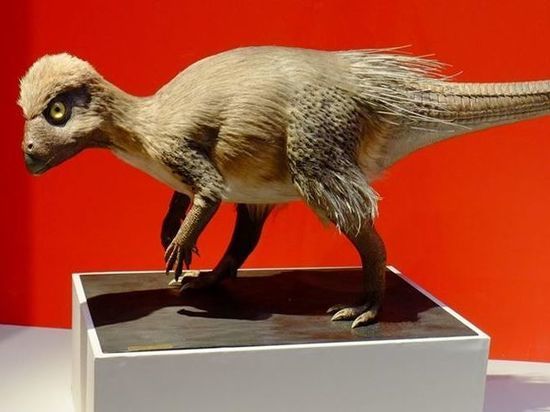 Место обнаружения останков забайкальского динозавра взяли под охрану