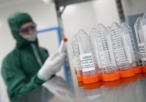 В Китае медики обнаружили коронавирус в семени инфицированных мужчин