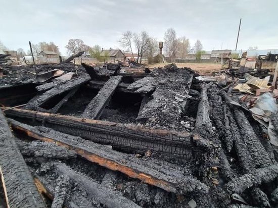 В крупном пожаре в Климковке погиб мужчина