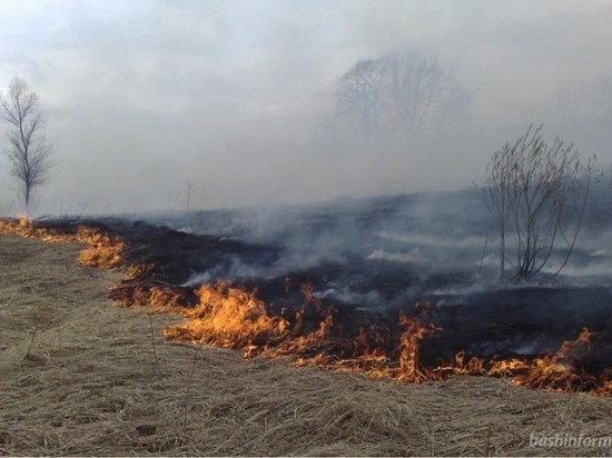 В Хакасии ветер спровоцировал пожары и степные палы
