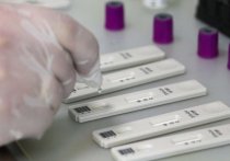 Москва провела 1 млн экспресс-тестов на коронавирус, отчиталась мэрия