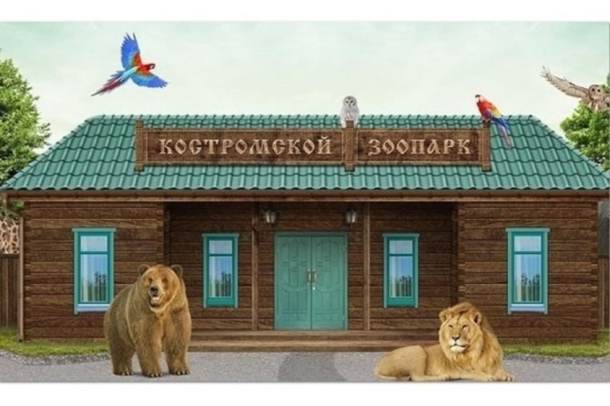 Костромской зоопарк новости