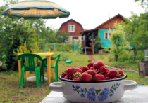 Закон «О бесплатном предоставлении земельных участков многодетным семьям в Московской области» будет вскоре дополнен