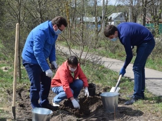 В Иванове благоустроили Юбилейную аллею