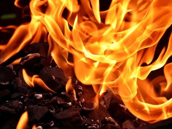 7 лесных пожаров произошло на территории Псковской области в праздничные выходные