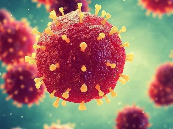 Коронавирус detected: ситуация в Хабаровском крае и ЕАО