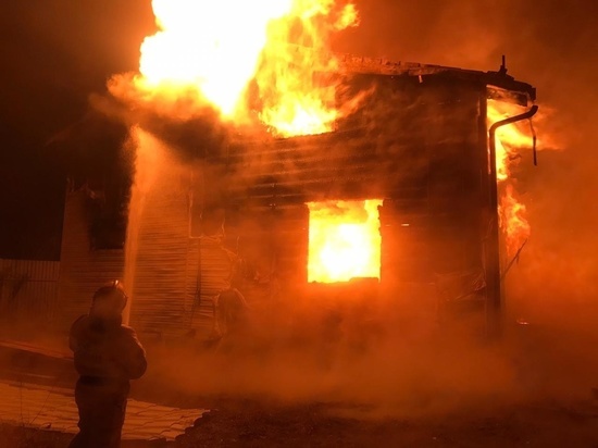 В Тульской области сгорел гараж, дача и дом